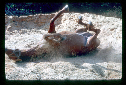 Slide901.jpg